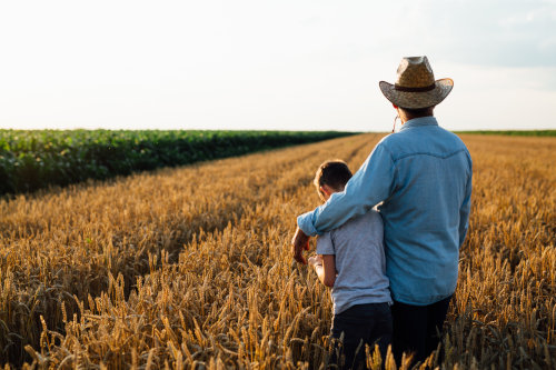 Farm insurance in MN - A farmer with his arm around his son viewing their crops