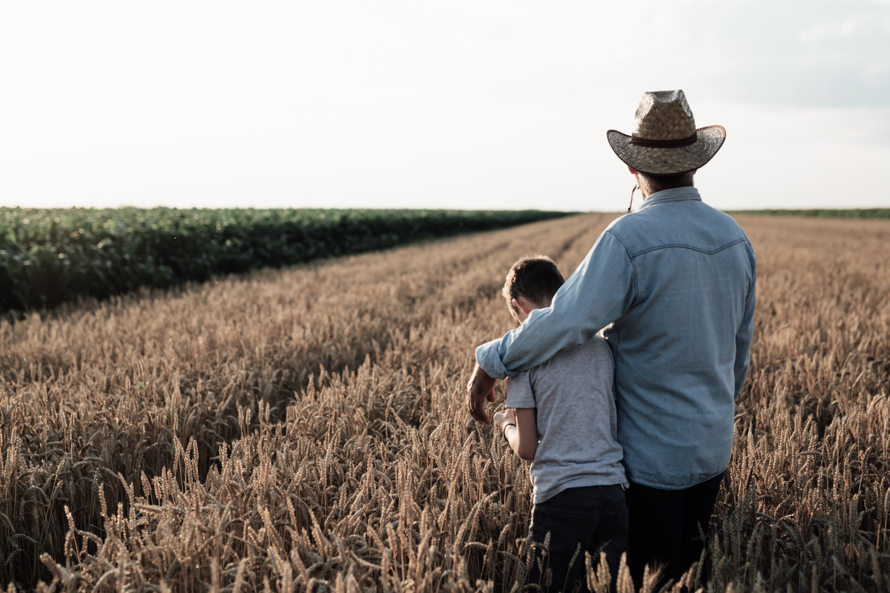 Farm Insurance - A man with his arm around his son looking at a wheat field.